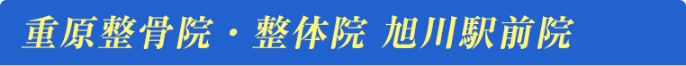 重原整骨院・整体院 旭川駅前院